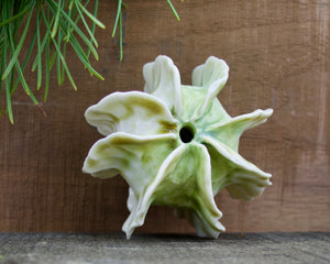Sculpture for Wall or Table - Nature Inspired -Salt Fired Porcelain
