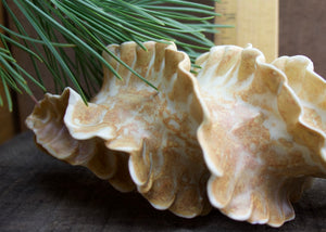 Natural Spiral - Porcelain Sculpture for Wall or Table - Salt Fired