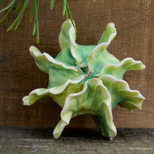 Load image into Gallery viewer, Sculpture for Wall or Table - Nature Inspired -Salt Fired Porcelain