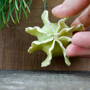 Sculpture for Wall or Table - Nature Inspired -Salt Fired Porcelain