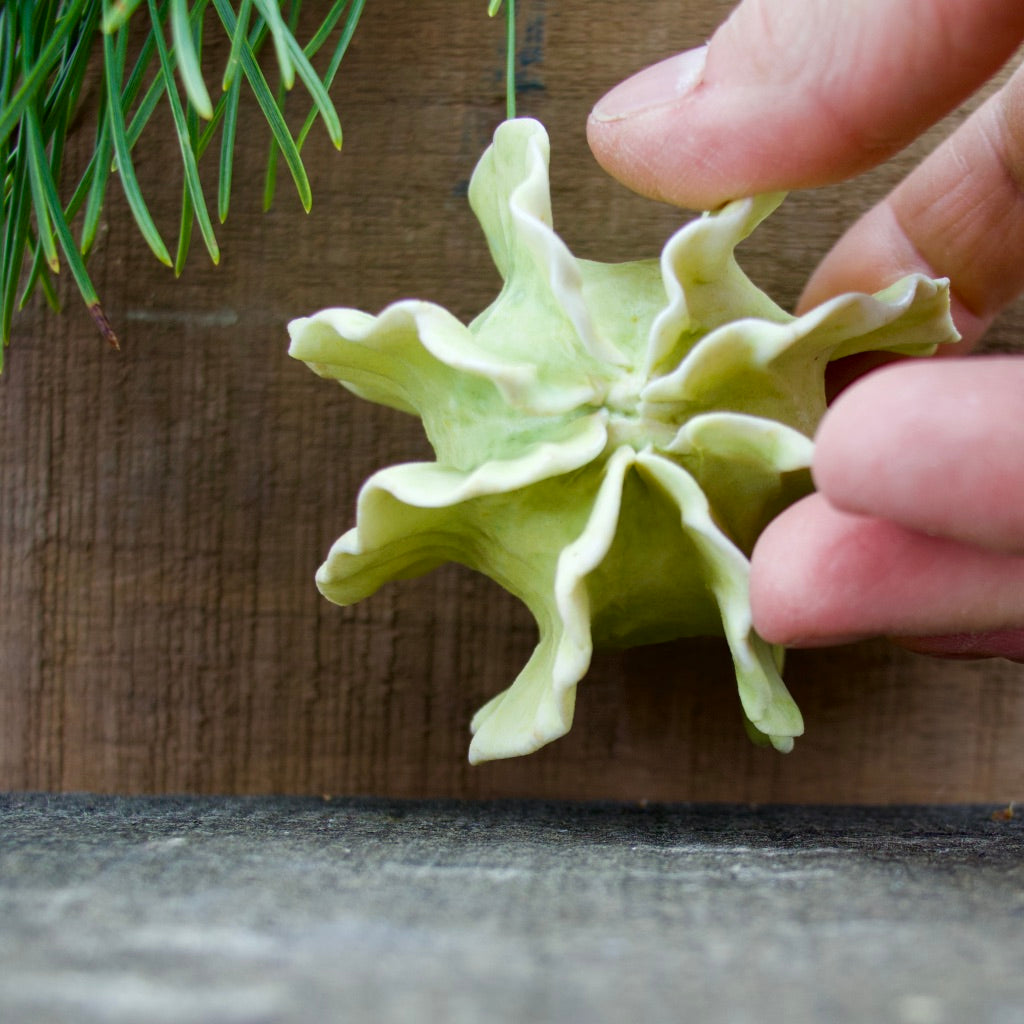 Sculpture for Wall or Table - Nature Inspired -Salt Fired Porcelain