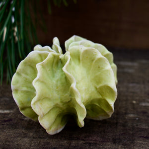 Sculpture for Wall or Table - Nature Inspired -Salt Fired Porcelain