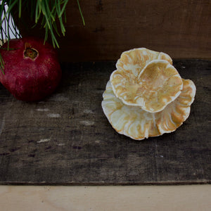 Spiral Sculpture for Wall or Table - Nature Inspired -Salt Fired Porcelain