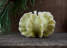 Load image into Gallery viewer, Sculpture for Wall or Table - Nature Inspired -Salt Fired Porcelain