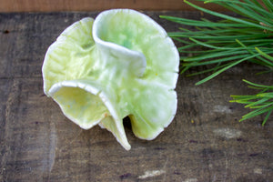 Sculpture for Shelf or Table - Nature Inspired -Salt Fired Porcelain