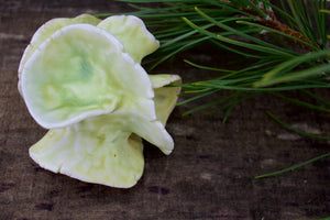Sculpture for Shelf or Table - Nature Inspired -Salt Fired Porcelain