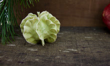 Load image into Gallery viewer, Sculpture for Wall or Table - Nature Inspired -Salt Fired Porcelain