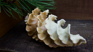 Natural Spiral - Porcelain Sculpture for Wall or Table - Salt Fired