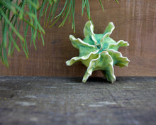 Load image into Gallery viewer, Sculpture for Wall or Table - Nature Inspired -Salt Fired Porcelain