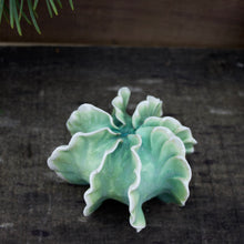 Load image into Gallery viewer, Sculpture for Wall or Table - Nature Inspired -Salt Fired Porcelain