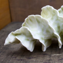 Load image into Gallery viewer, Natural Spiral - Porcelain Sculpture for Wall or Table - Salt Fired