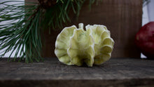 Load image into Gallery viewer, Sculpture for Wall or Table - Nature Inspired -Salt Fired Porcelain