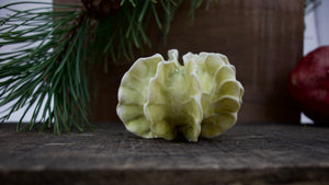 Sculpture for Wall or Table - Nature Inspired -Salt Fired Porcelain