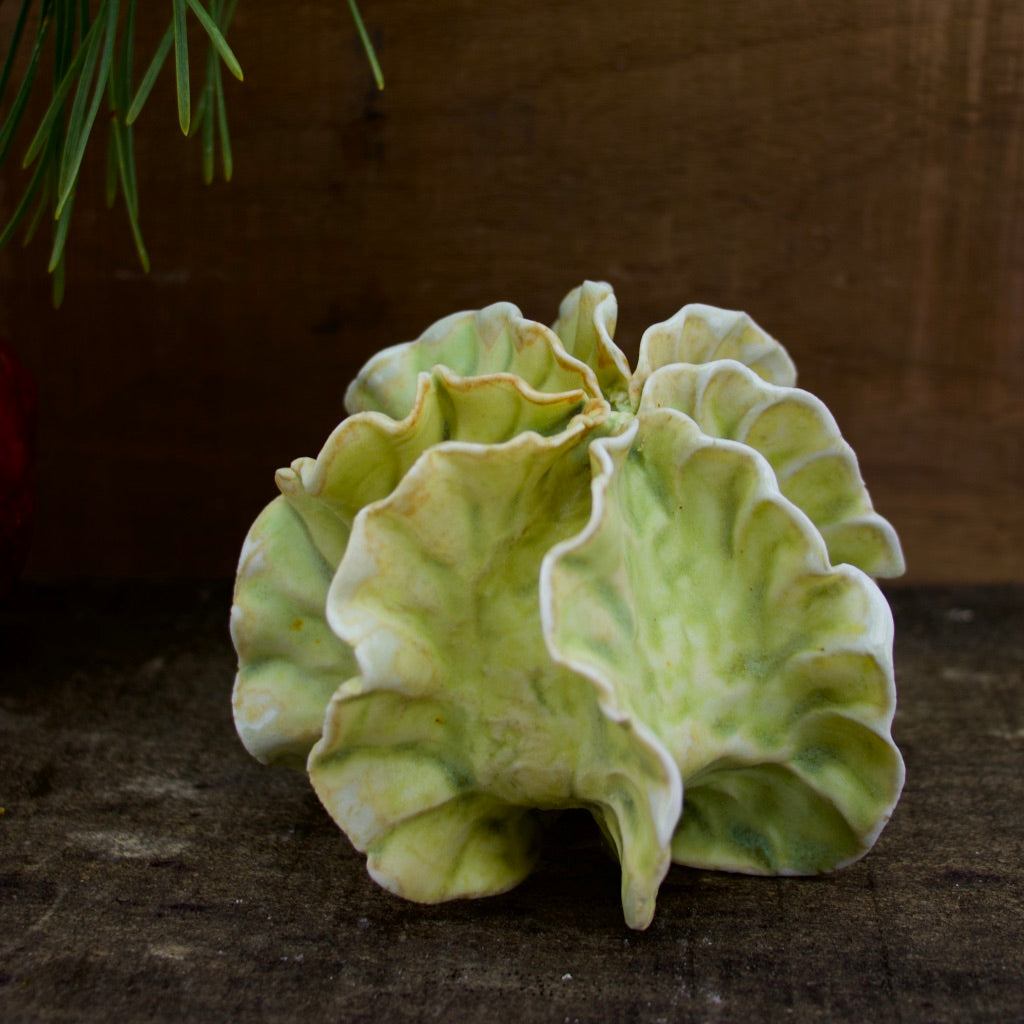 Sculpture for Wall or Table - Nature Inspired -Salt Fired Porcelain
