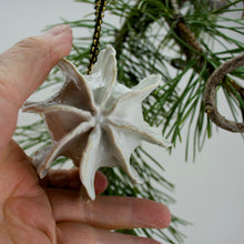 Load image into Gallery viewer, Salt Fired Porcelain - Pod Ornament