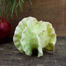 Load image into Gallery viewer, Sculpture for Wall or Table - Nature Inspired -Salt Fired Porcelain