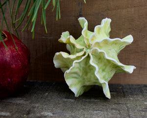 Sculpture for Wall or Table - Nature Inspired -Salt Fired Porcelain