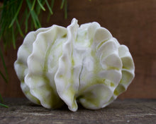 Load image into Gallery viewer, Sculpture for Wall or Table - Nature Inspired -Salt Fired Porcelain
