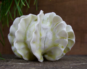 Sculpture for Wall or Table - Nature Inspired -Salt Fired Porcelain
