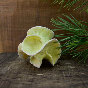 Sculpture for Shelf or Table - Nature Inspired -Salt Fired Porcelain