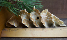 Load image into Gallery viewer, Natural Spiral - Porcelain Sculpture for Wall or Table - Salt Fired