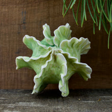 Load image into Gallery viewer, Sculpture for Wall or Table - Nature Inspired -Salt Fired Porcelain