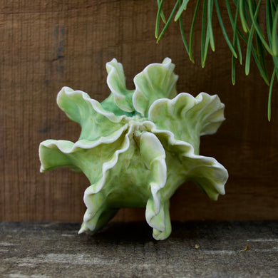 Sculpture for Wall or Table - Nature Inspired -Salt Fired Porcelain