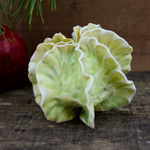 Load image into Gallery viewer, Sculpture for Wall or Table - Nature Inspired -Salt Fired Porcelain