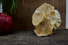 Load image into Gallery viewer, Spiral Sculpture for Wall or Table - Nature Inspired -Salt Fired Porcelain