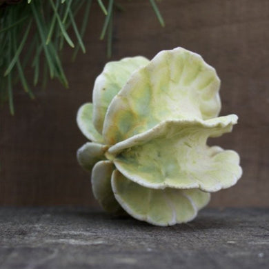 Sculpture for Wall or Table - Nature Inspired -Salt Fired Porcelain