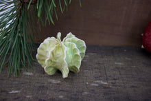 Load image into Gallery viewer, Sculpture for Wall or Table - Nature Inspired -Salt Fired Porcelain