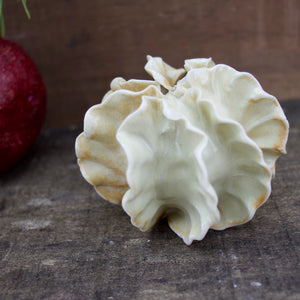 Sculpture for Wall or Table - Nature Inspired -Salt Fired Porcelain