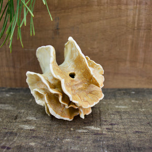 Sculpture for Wall or Table - Nature Inspired -Salt Fired Porcelain
