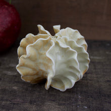 Load image into Gallery viewer, Sculpture for Wall or Table - Nature Inspired -Salt Fired Porcelain