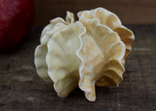 Load image into Gallery viewer, Sculpture for Wall or Table - Nature Inspired -Salt Fired Porcelain