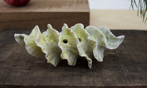 Natural Spiral - Porcelain Sculpture for Wall or Table - Salt Fired