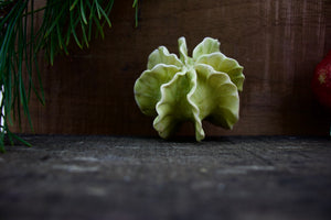Sculpture for Wall or Table - Nature Inspired -Salt Fired Porcelain