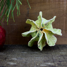 Load image into Gallery viewer, Sculpture for Wall or Table - Nature Inspired -Salt Fired Porcelain