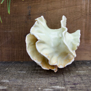 Sculpture for Wall or Table - Nature Inspired -Salt Fired Porcelain