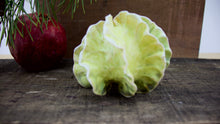 Load image into Gallery viewer, Sculpture for Wall or Table - Nature Inspired -Salt Fired Porcelain