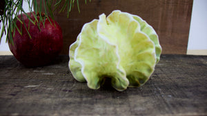 Sculpture for Wall or Table - Nature Inspired -Salt Fired Porcelain