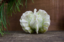 Load image into Gallery viewer, Sculpture for Wall or Table - Nature Inspired -Salt Fired Porcelain