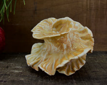 Load image into Gallery viewer, Spiral Sculpture for Wall or Table - Nature Inspired -Salt Fired Porcelain