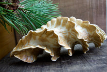 Load image into Gallery viewer, Natural Spiral - Porcelain Sculpture for Wall or Table - Salt Fired