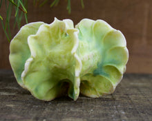 Load image into Gallery viewer, Sculpture for Wall or Table - Nature Inspired -Salt Fired Porcelain
