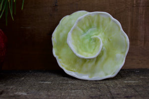Sculpture for Wall or Table - Nature Inspired -Salt Fired Porcelain