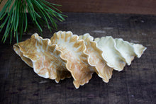 Load image into Gallery viewer, Natural Spiral - Porcelain Sculpture for Wall or Table - Salt Fired