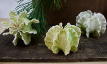Load image into Gallery viewer, Sculpture for Wall or Table - Nature Inspired -Salt Fired Porcelain