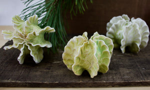 Sculpture for Wall or Table - Nature Inspired -Salt Fired Porcelain