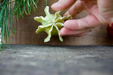 Load image into Gallery viewer, Sculpture for Wall or Table - Nature Inspired -Salt Fired Porcelain